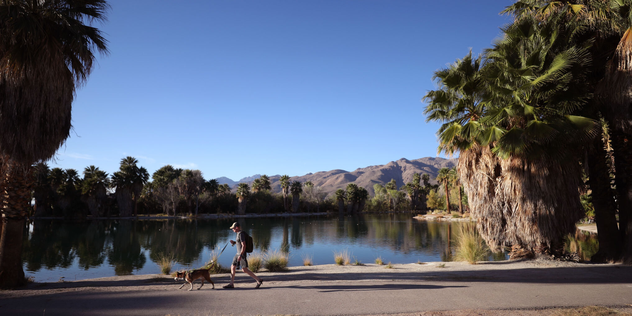 Agua Caliente Park, ÃÛèÖÖ±²¥